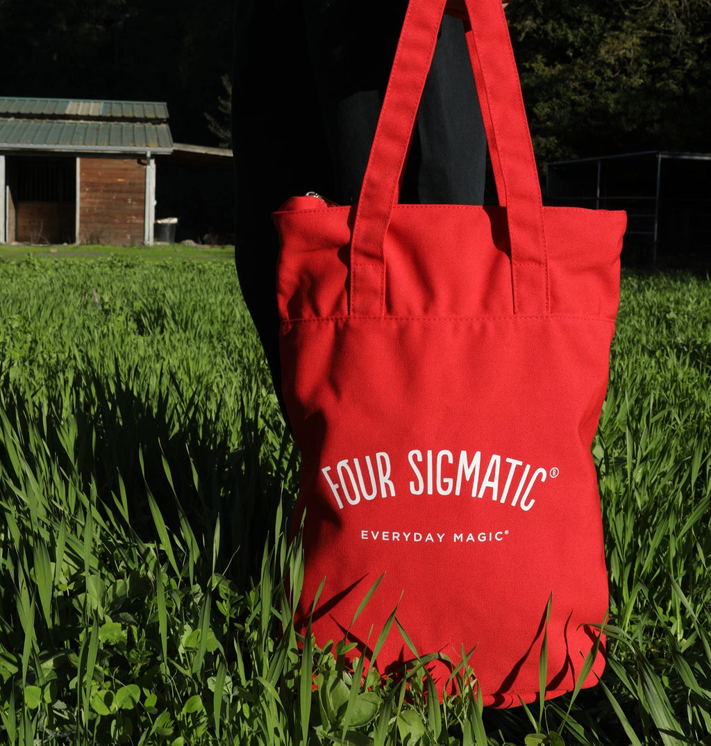Tote/ Backpack